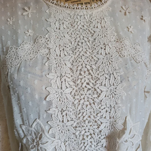 Zara Cream Ivory Swiss Dot Sheer Lace Blouse Tunic Sz M - Picture 6 of 9